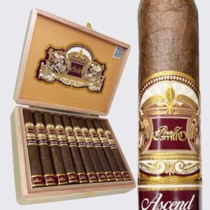 Casa Carrillo Ascend Saddle (5×52)